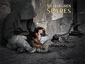 Nils Lofgren Spares